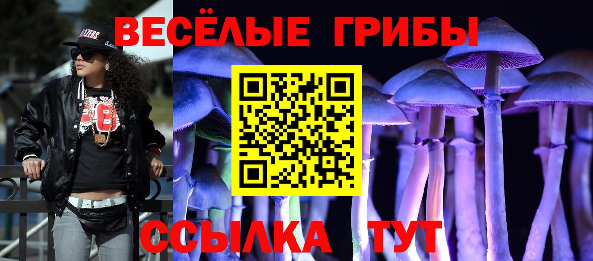 Дедовск  Псилоцибиновые грибы прущие грибы  где продают наркотики  Вход с VPN 