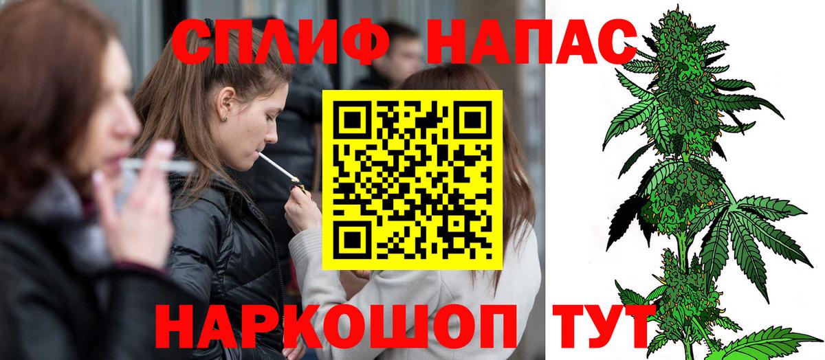 Шишки марихуана конопля  Бошки марихуана OG Kush  Марихуана конопля  Вход с VPN  Марихуана конопля  Дедовск 